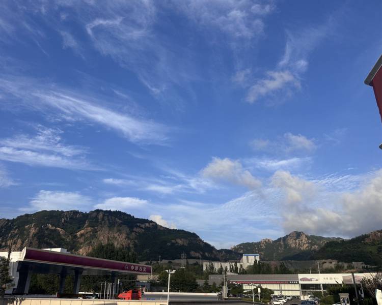艺人背景图