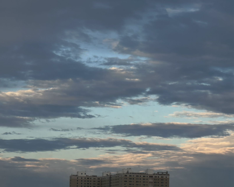 艺人背景图