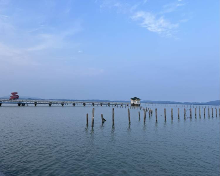 艺人背景图