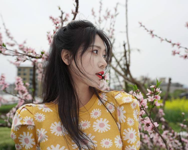 艺人背景图