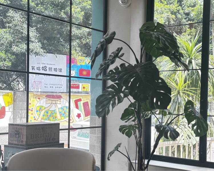 艺人背景图