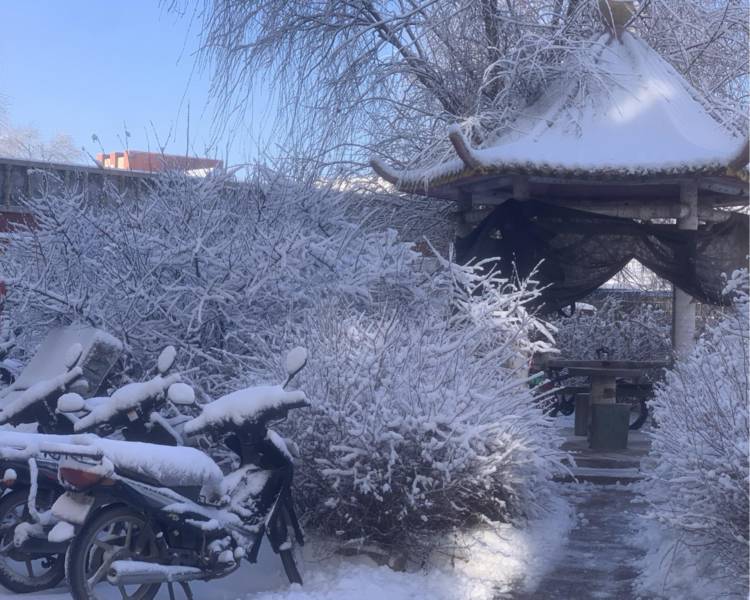 艺人背景图