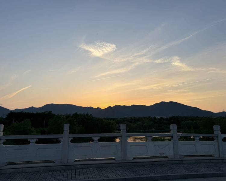艺人背景图