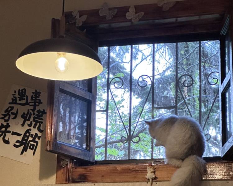 艺人背景图