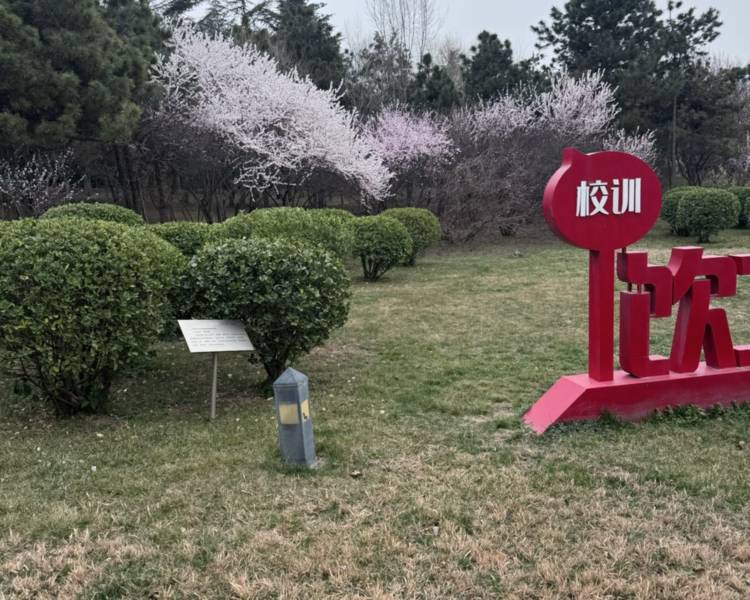 艺人背景图