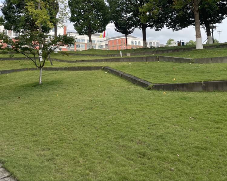 艺人背景图