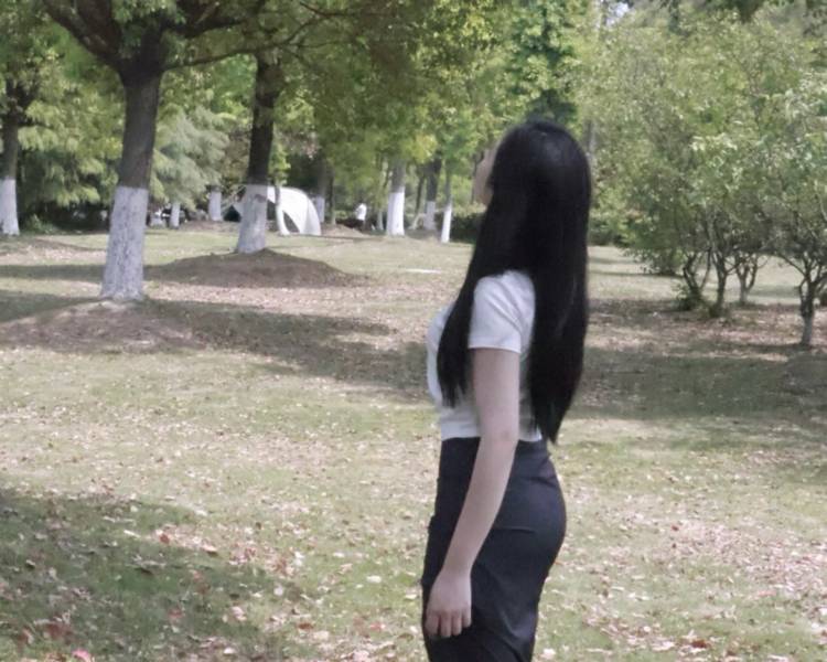 艺人背景图