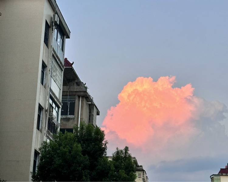 艺人背景图