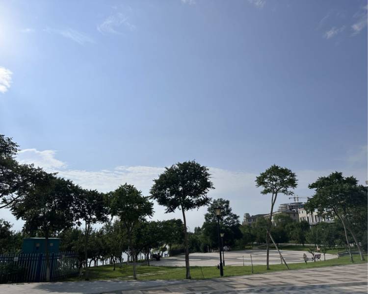艺人背景图