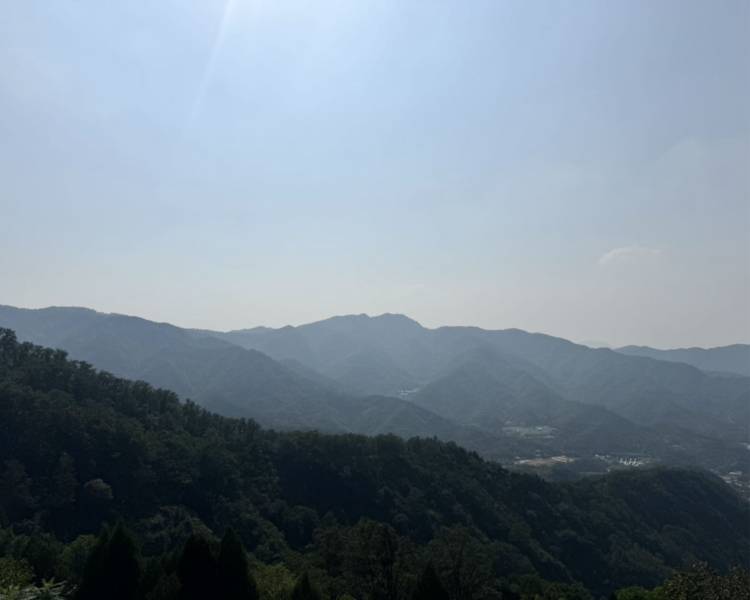 艺人背景图