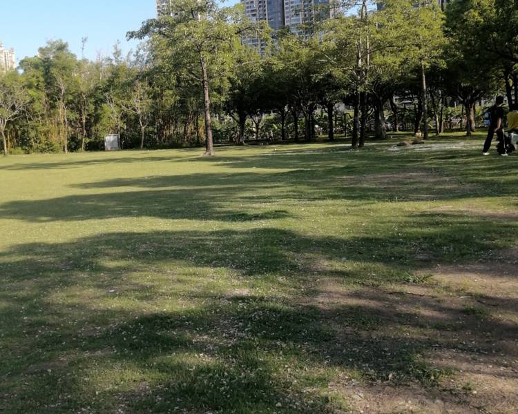 艺人背景图