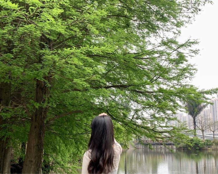 艺人背景图