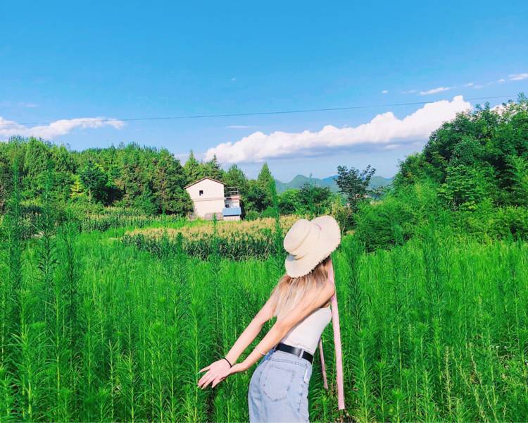 艺人背景图