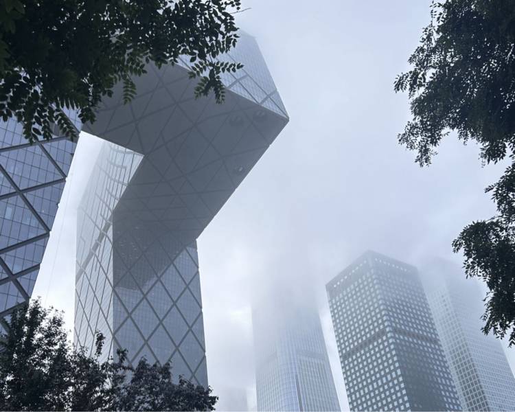 艺人背景图