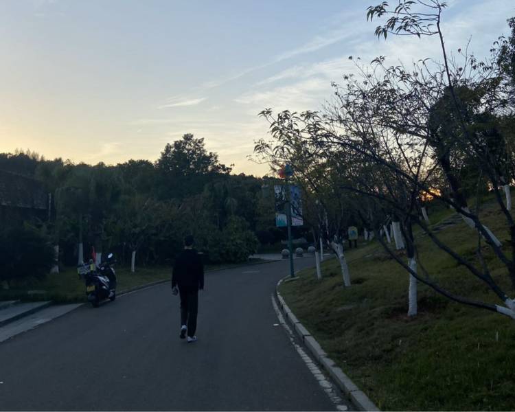 艺人背景图