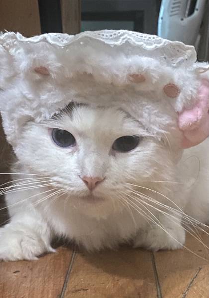 推荐艺人