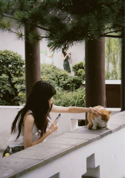 形象照片