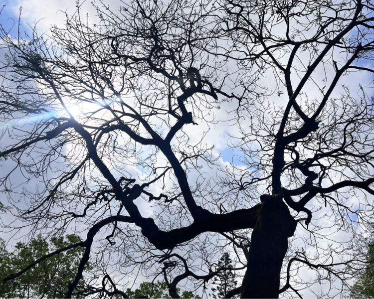 艺人背景图
