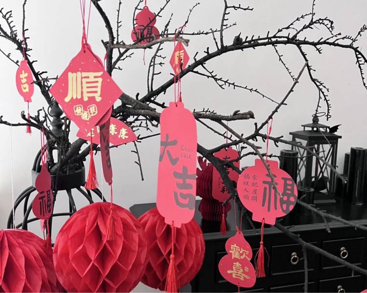 艺人背景图