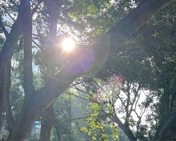 艺人背景图