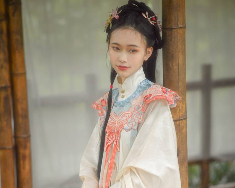 艺人背景图
