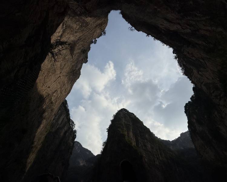艺人背景图