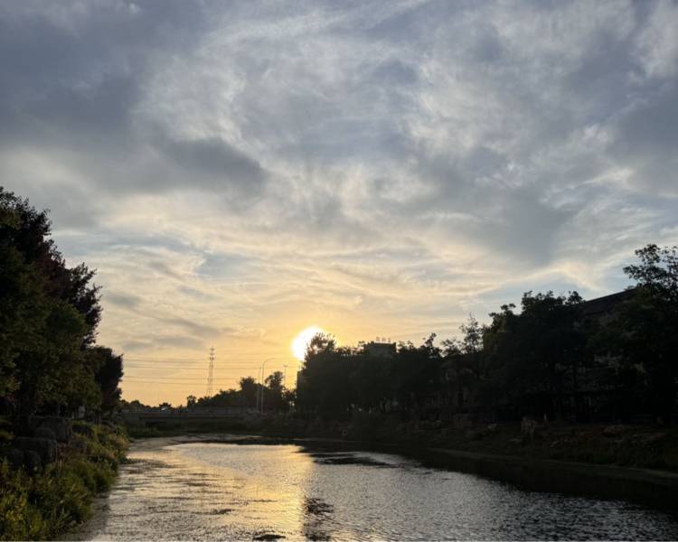 艺人背景图