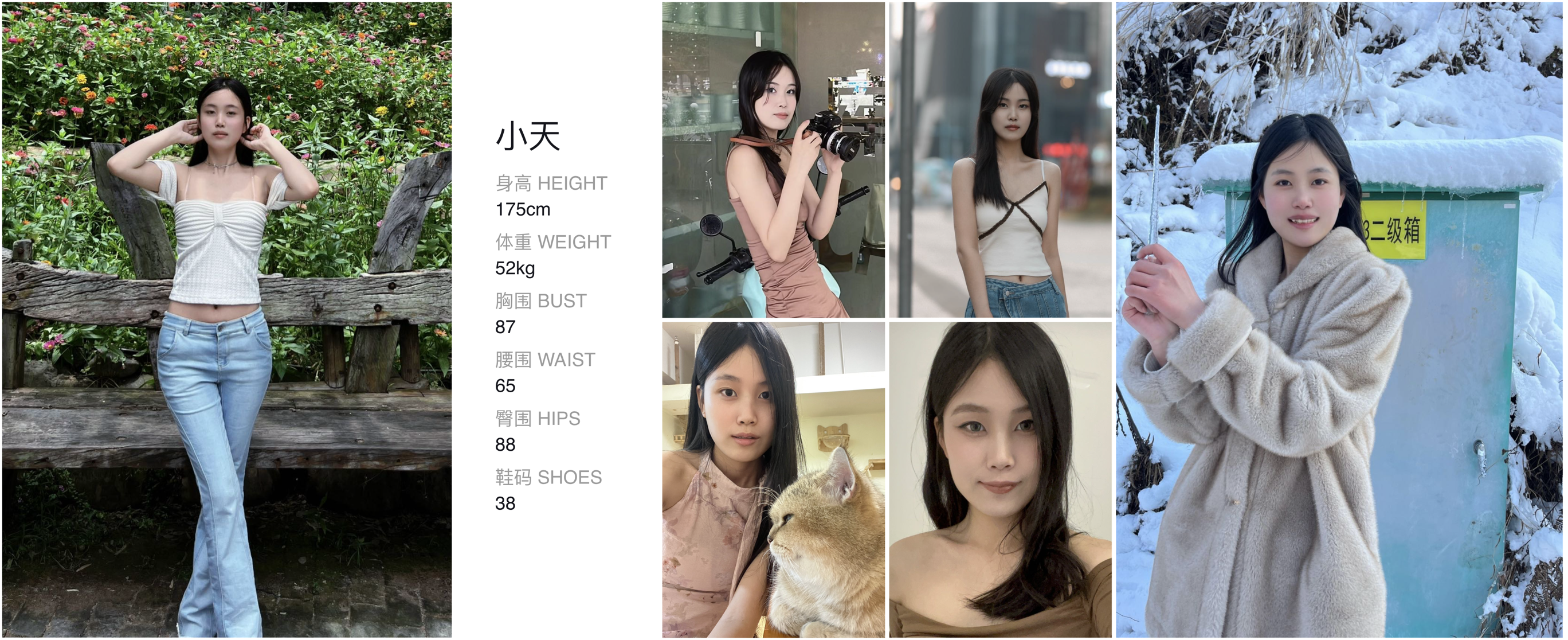 模卡