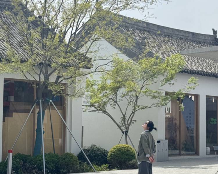 艺人背景图