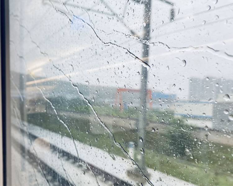 艺人背景图
