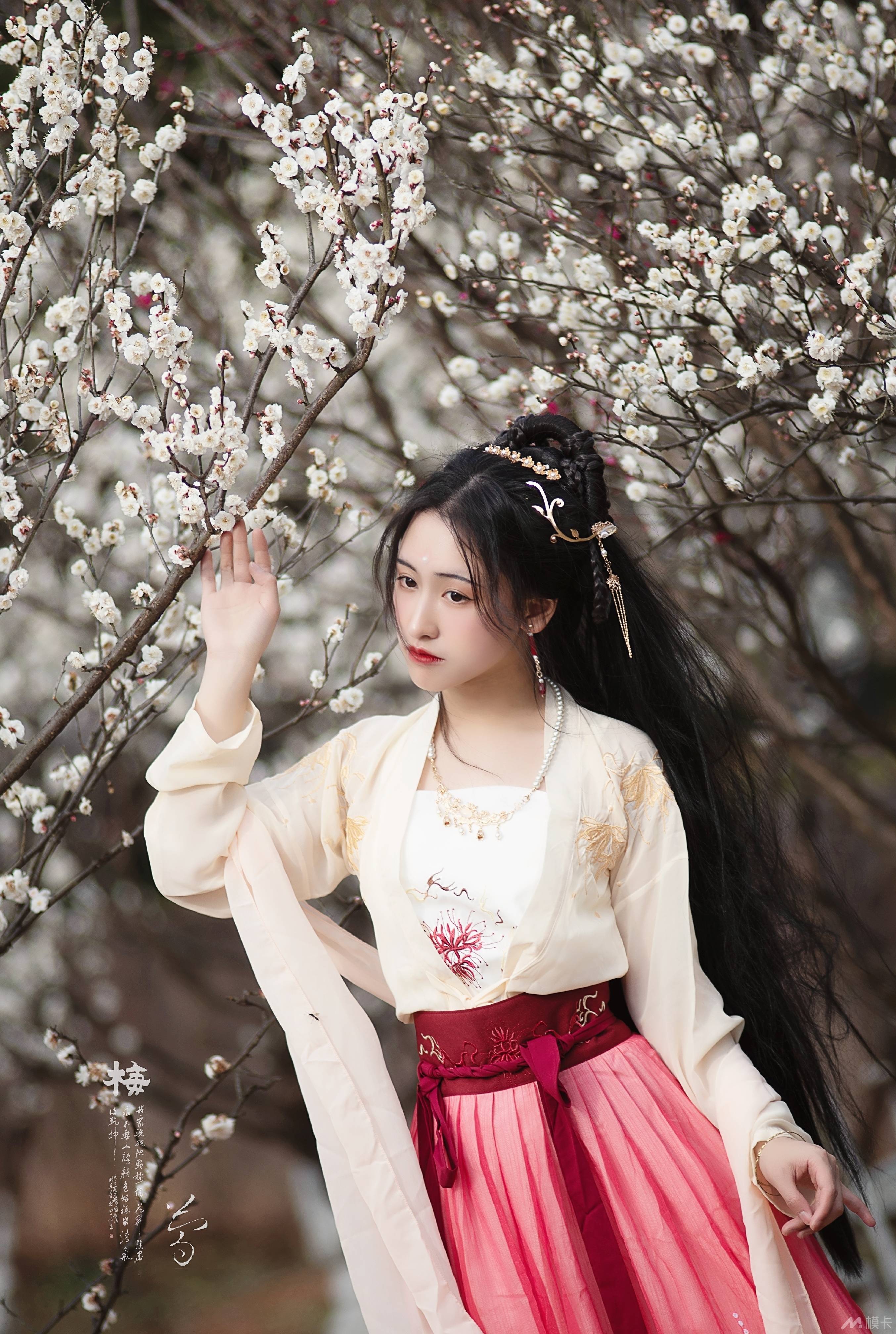 作品图片