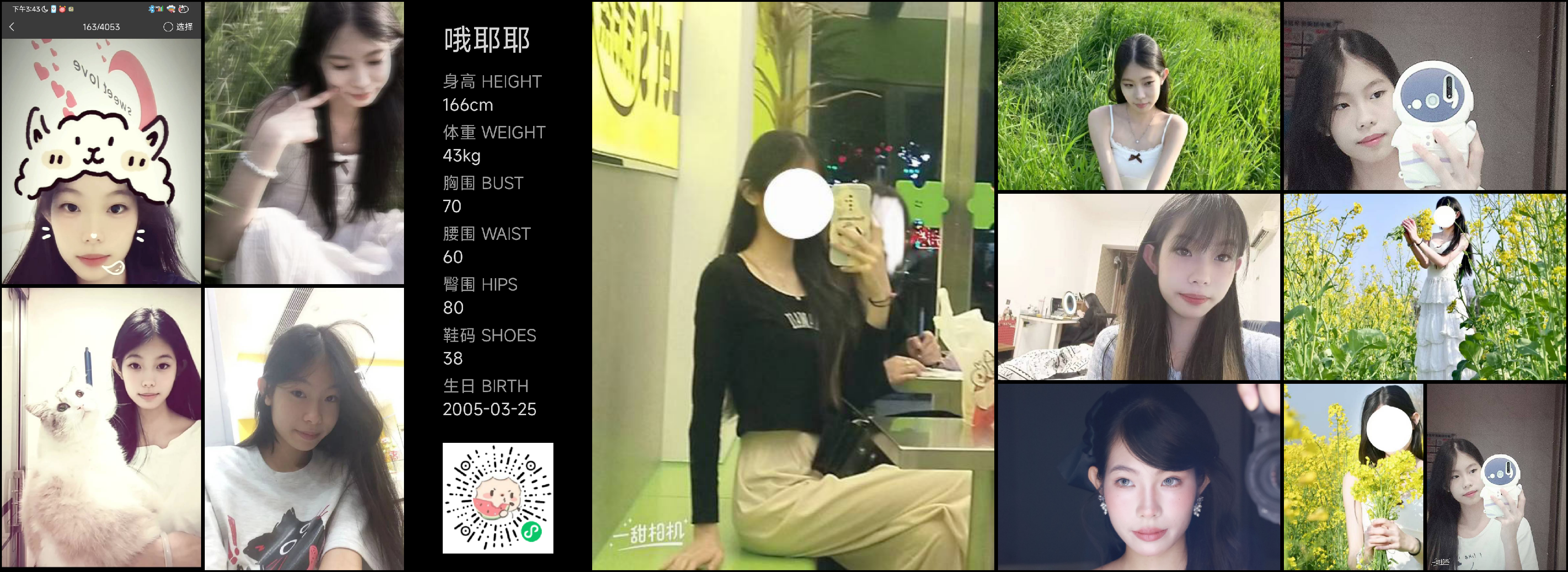模卡