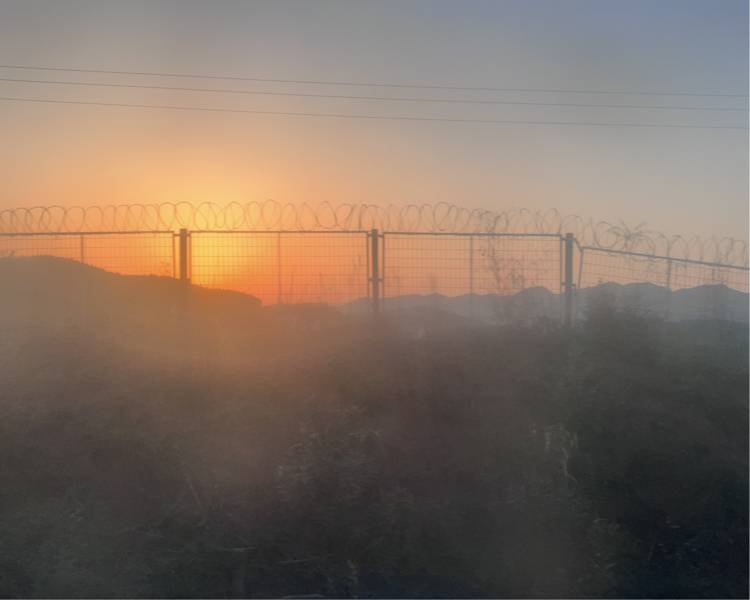 艺人背景图
