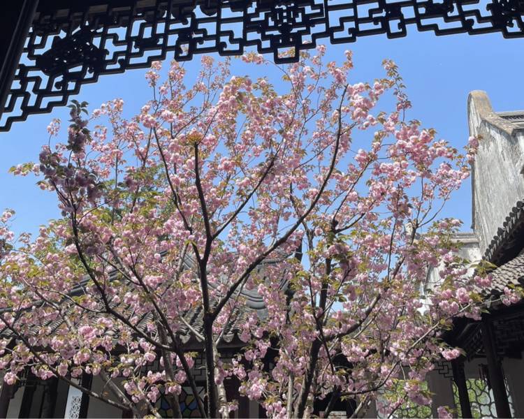 艺人背景图