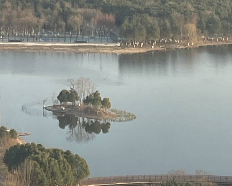 艺人背景图