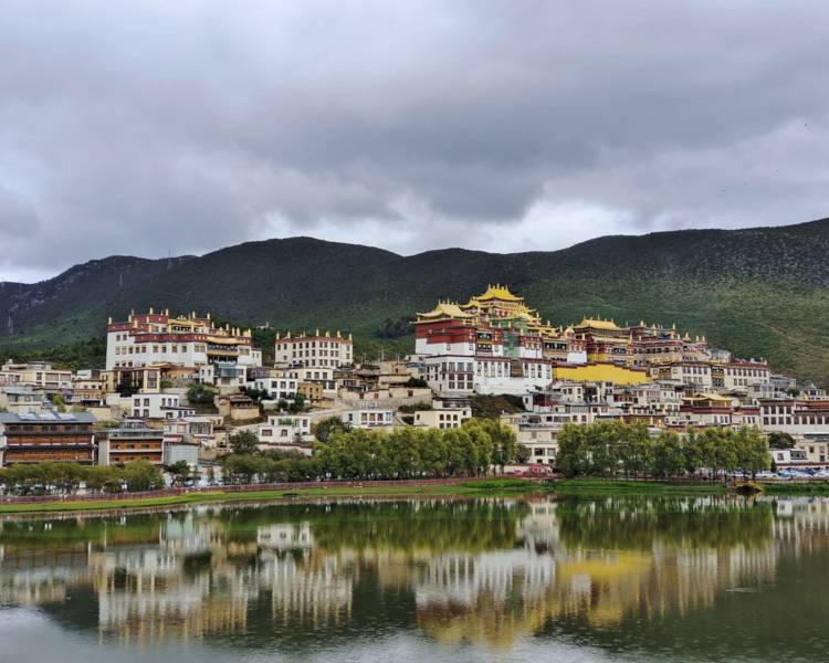 艺人背景图