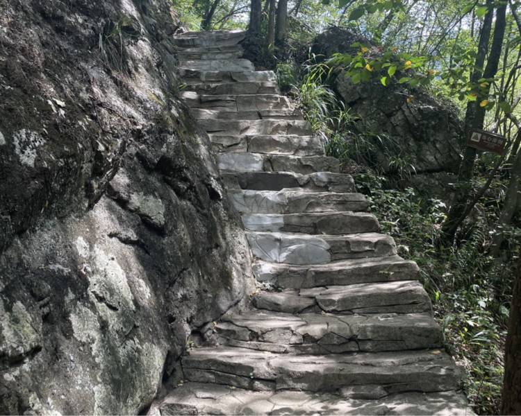 艺人背景图