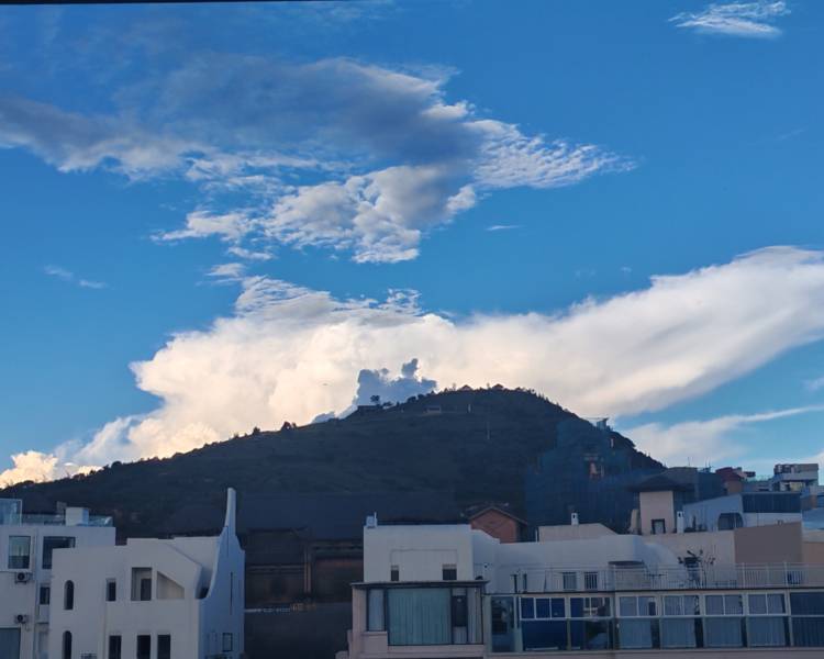 艺人背景图