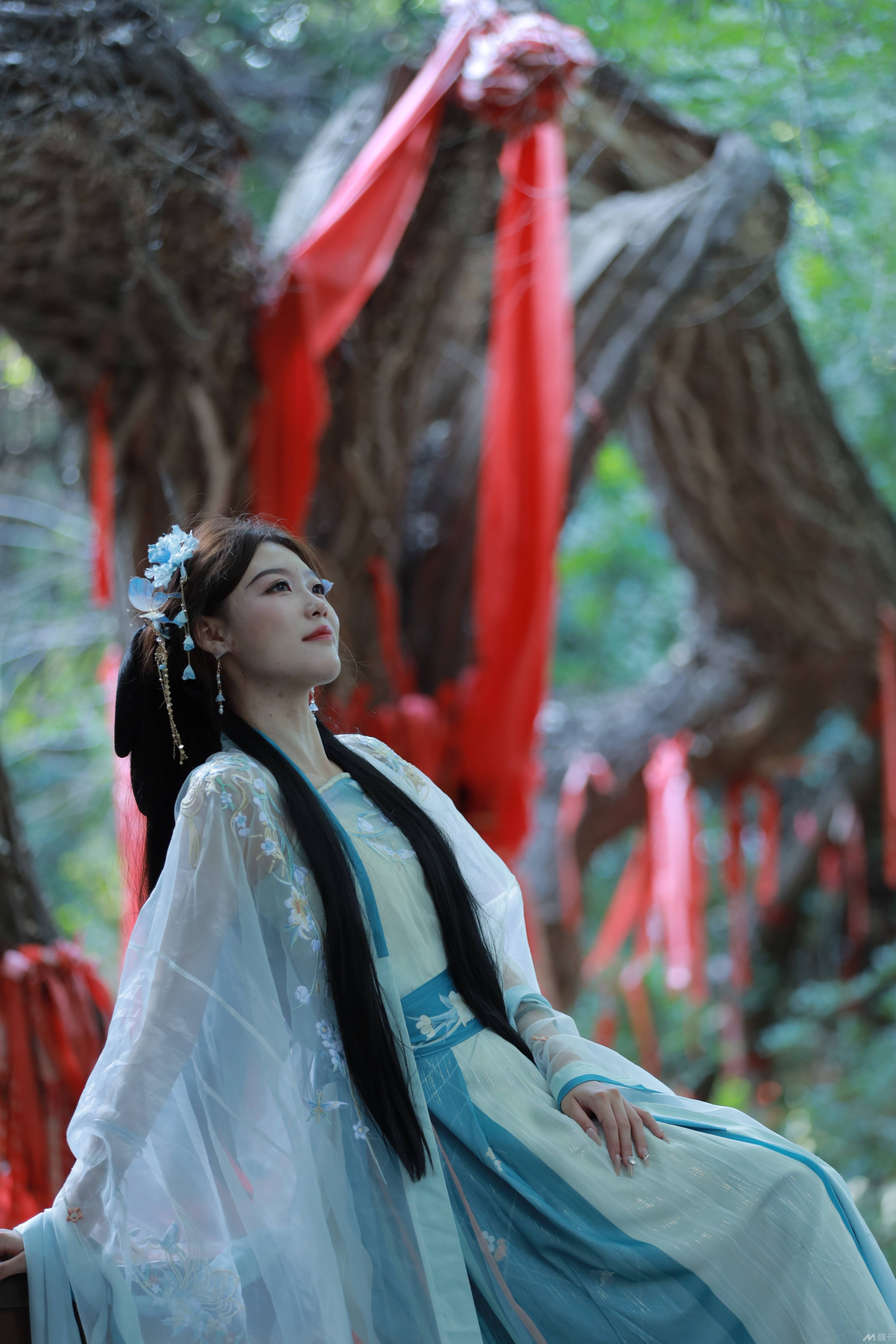 作品图片