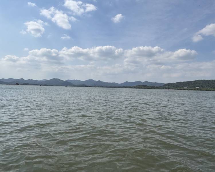 艺人背景图