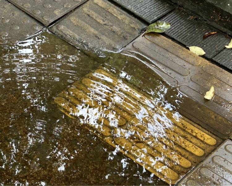 艺人背景图