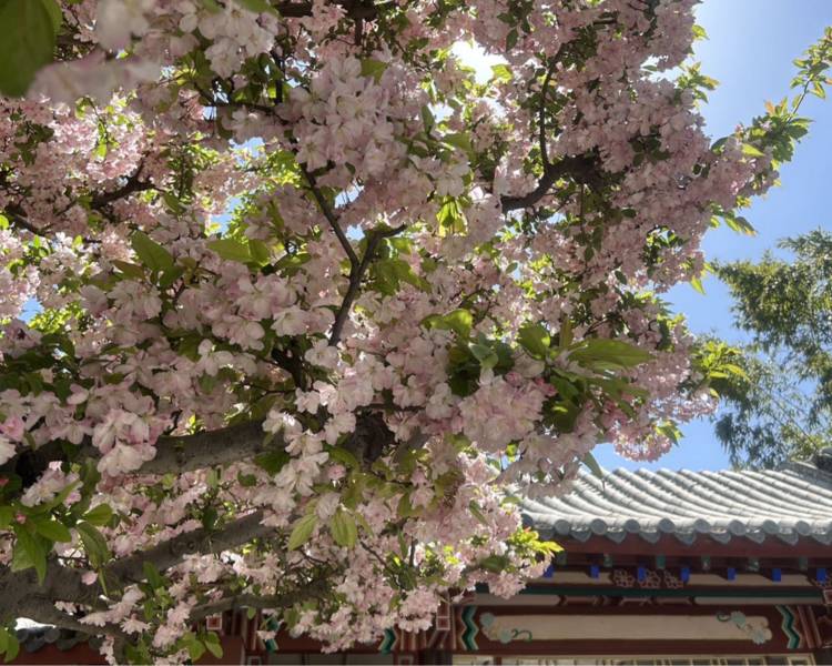 艺人背景图