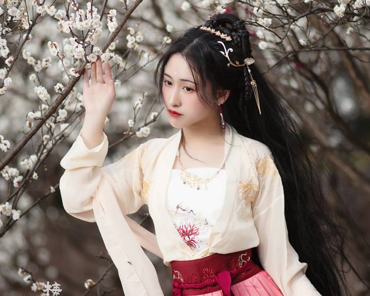 艺人背景图