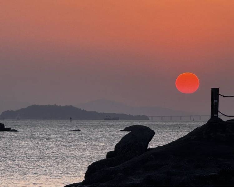 艺人背景图