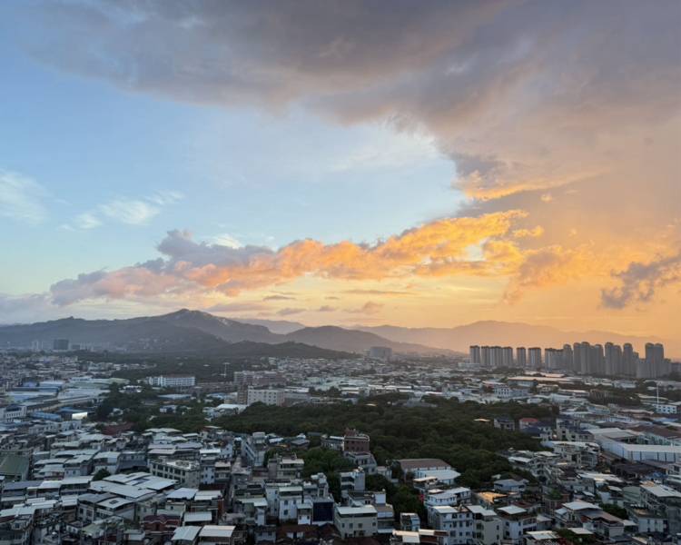 艺人背景图