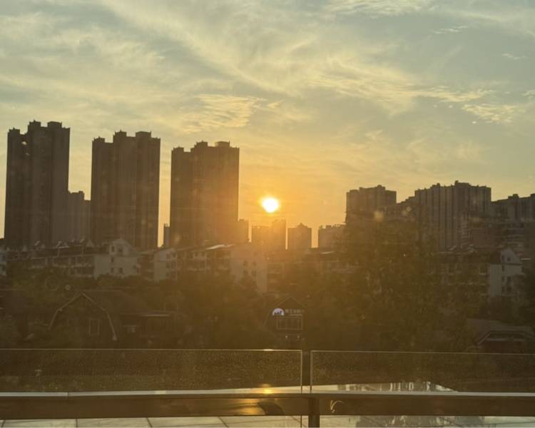 艺人背景图