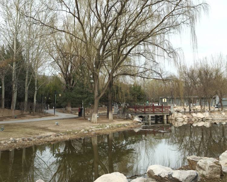艺人背景图
