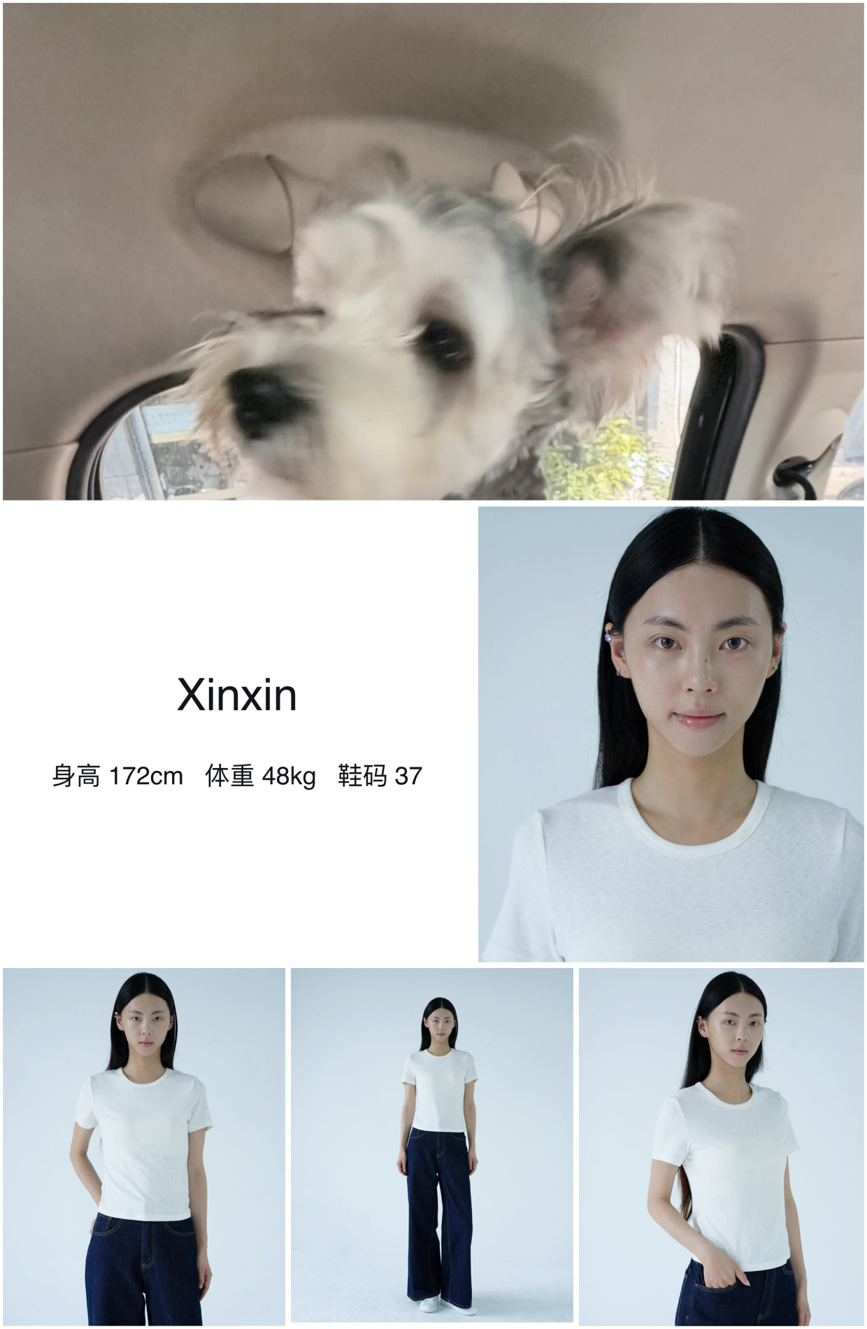 模卡