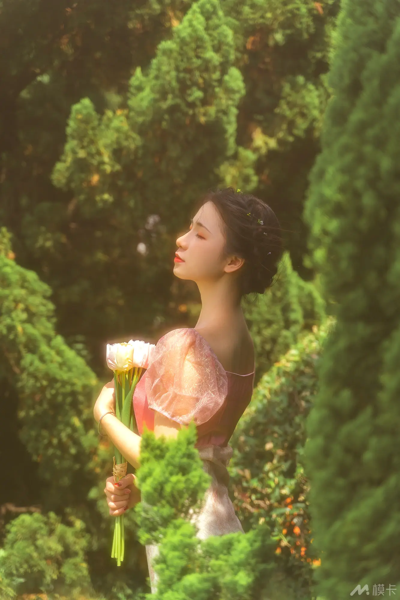 作品图片