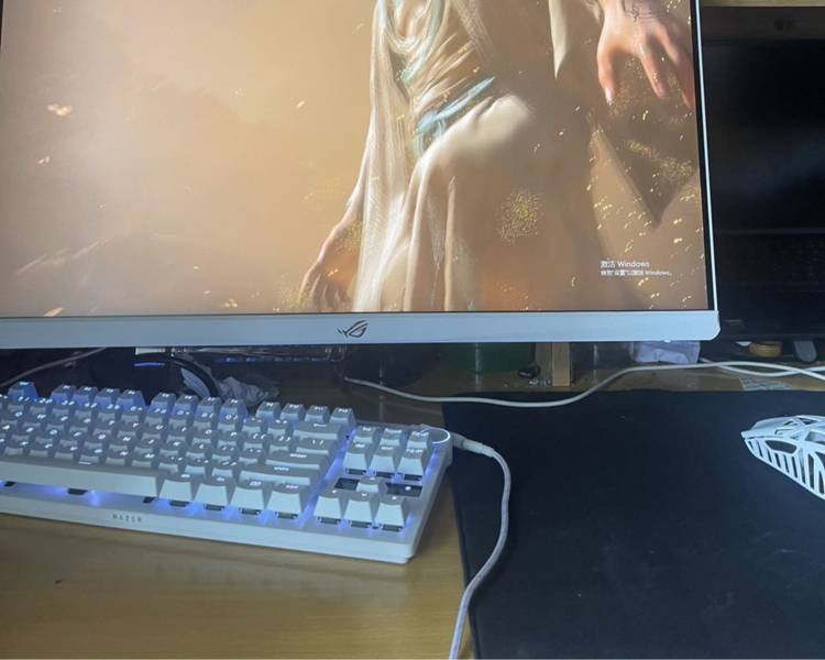 艺人背景图